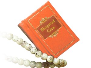 DEHA – The principles of sound body in Bhagavad Gita