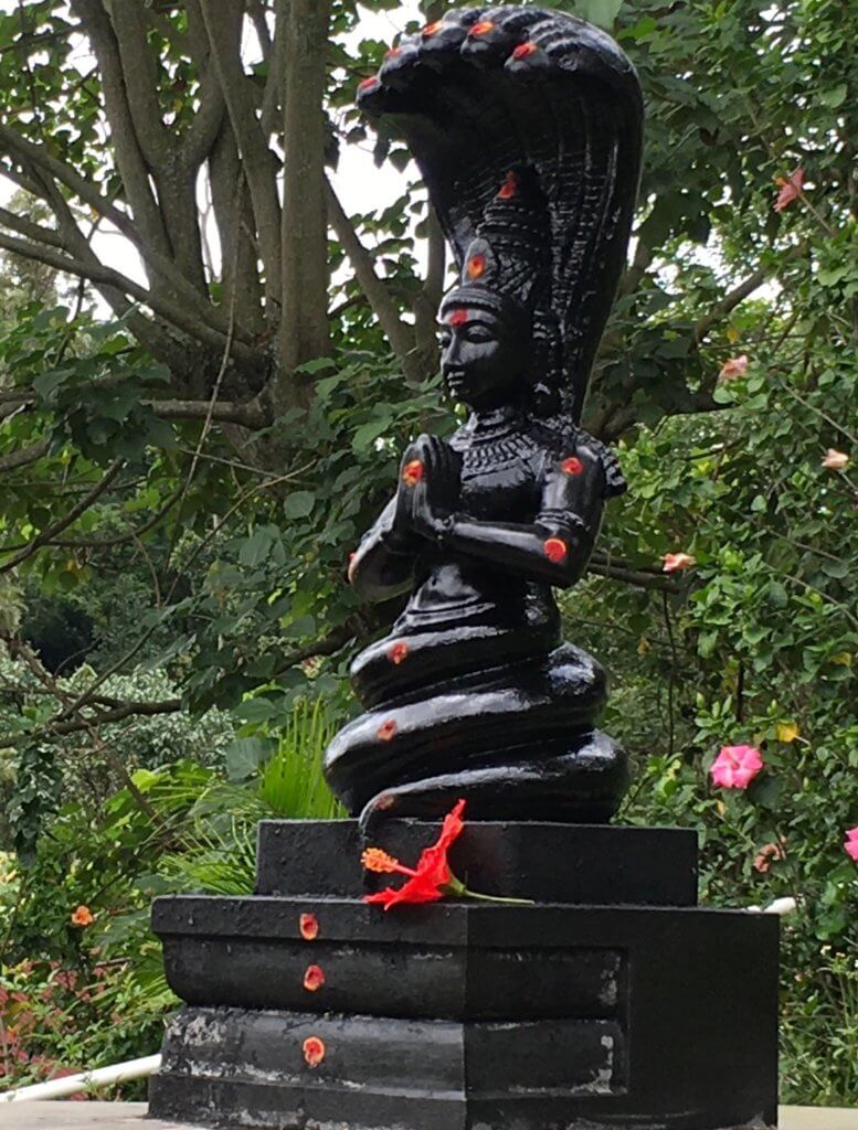 The Yoga Sutras of Patanjali Course