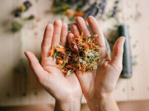 Ayurveda 101: Wisdom of Well-being