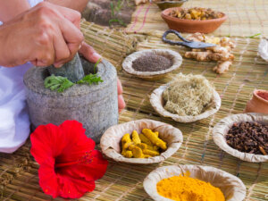 Applied Vedic Science - Basic Ayurveda