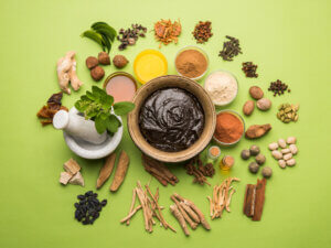 ayurveda essential nutrition