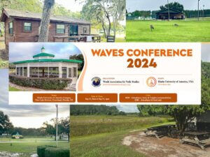 WAVES 2024