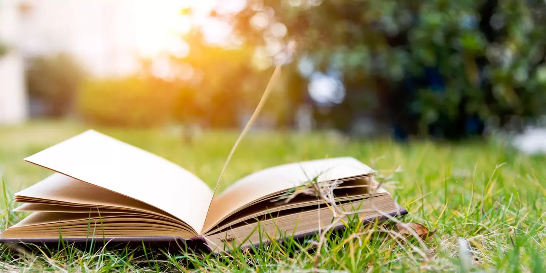 Importance of Hindu Studies in Universities