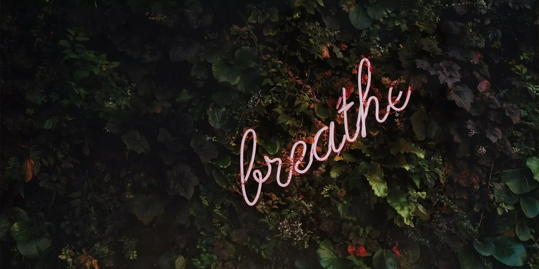 Pranayama